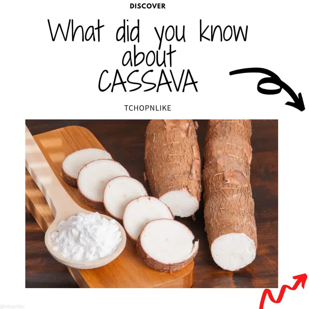 what did you know about cassava