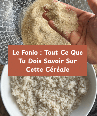 bienfait fonio