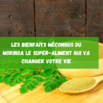 moringa bienfaits