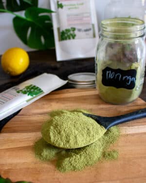 poudre de moringa