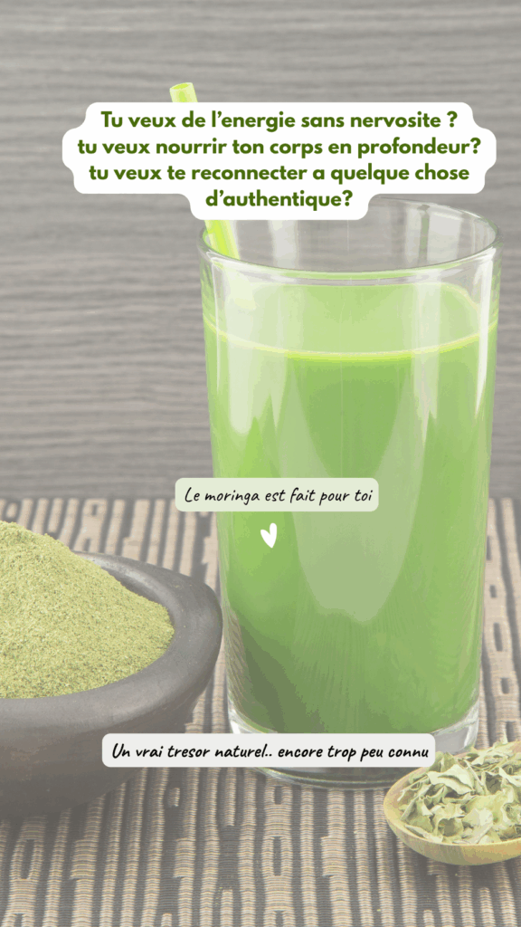 consommons le moringa