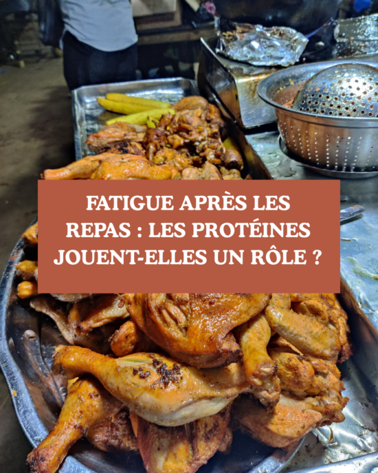 fatiguer apres les repas : le role des proteine
